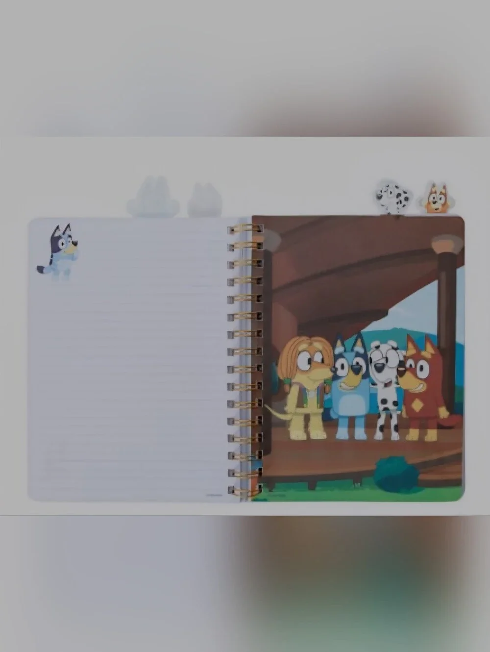Blue Cartoon Spiral Notebook - Light Blue Character Journal - Picture 2 of 5